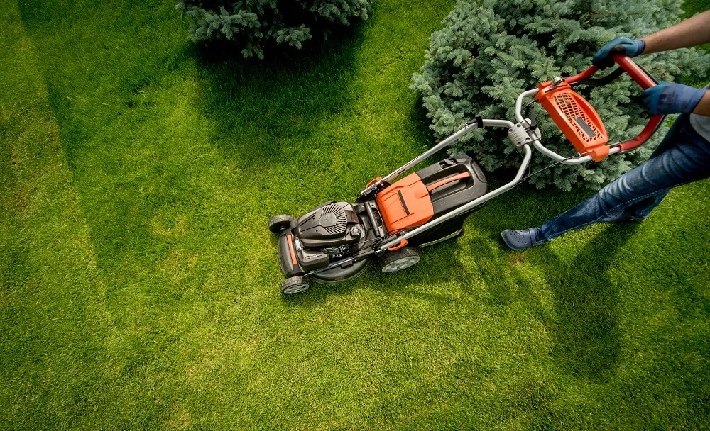 Lawn mowing service Anaheim CA — aerial view of fresh mow lines